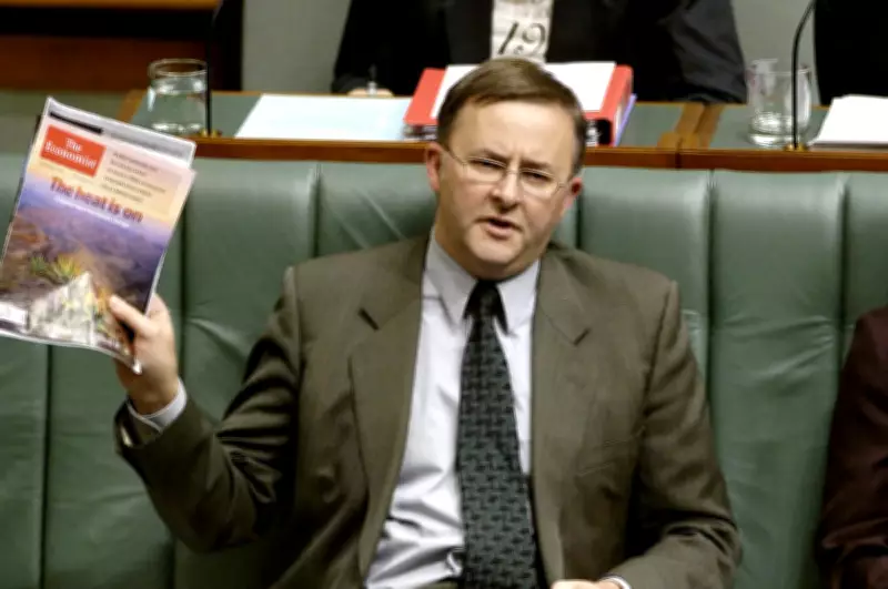 Albanese Reflects on 30 Years in Australian Politics: From Backbencher to PM