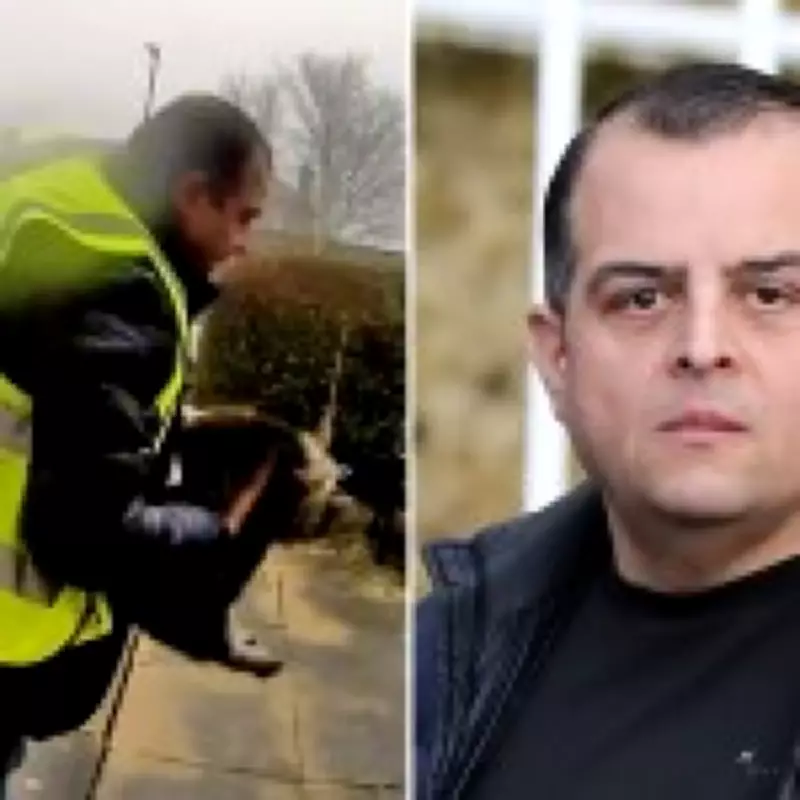 Amazon Driver Admits Stealing Family Cat, Faces Up to Five Years in Prison