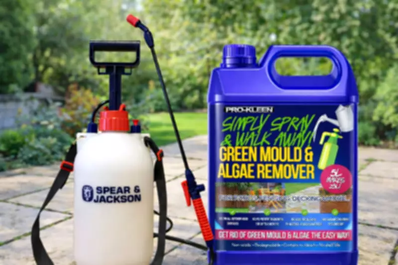 Amazon's Top Patio Cleaning Products Combat Winter Grime Effectively