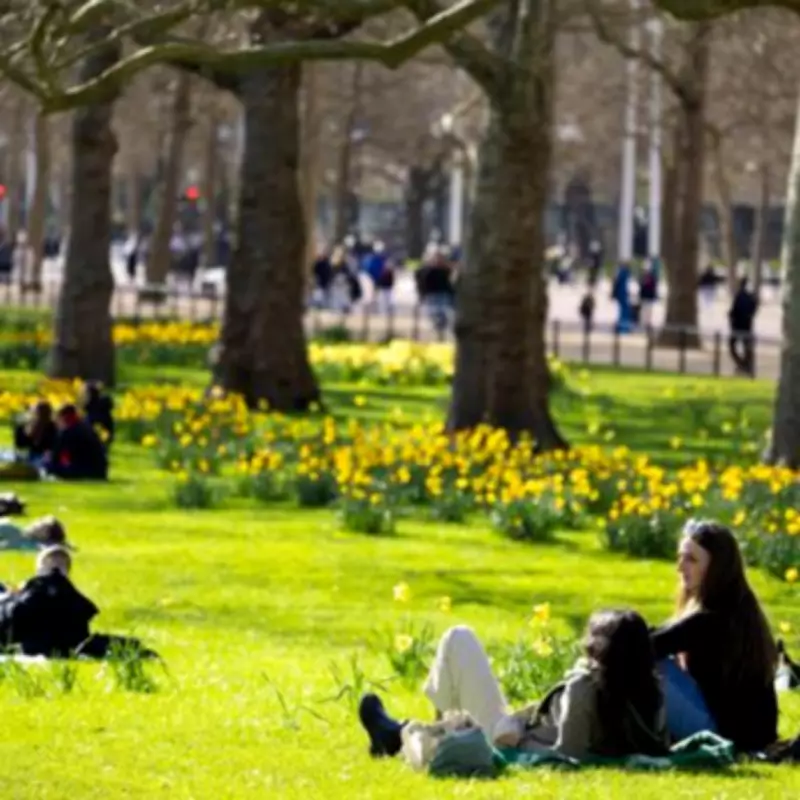 American in London Warns: 'Don't Be Fooled' by March Sun in UK