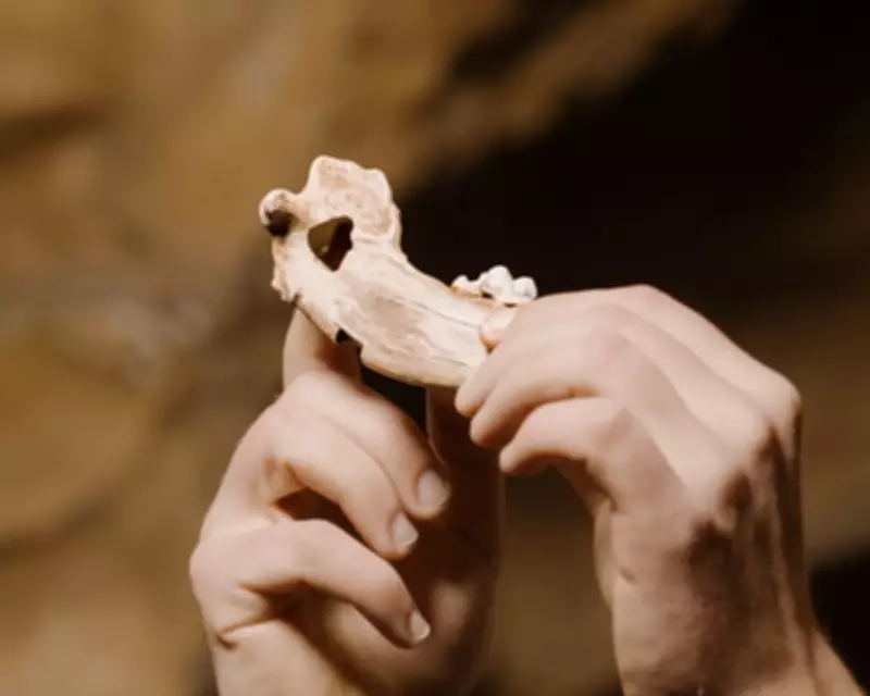 Ancient DNA Reveals Dogs Were Human Companions Over 15,000 Years Ago