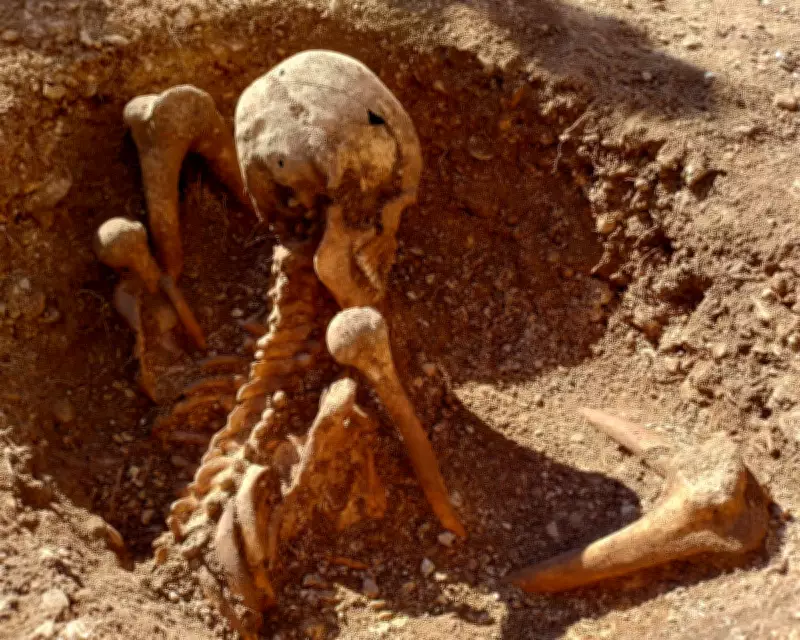 Ancient Upright Skeleton Discovered in Dijon, France: Gaulish Burial Mystery Deepens
