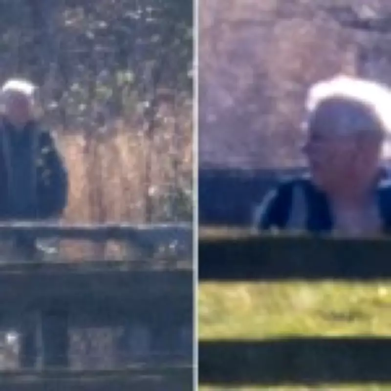 Andrew Mountbatten-Windsor Spotted Walking Dogs Amid Epstein Investigation