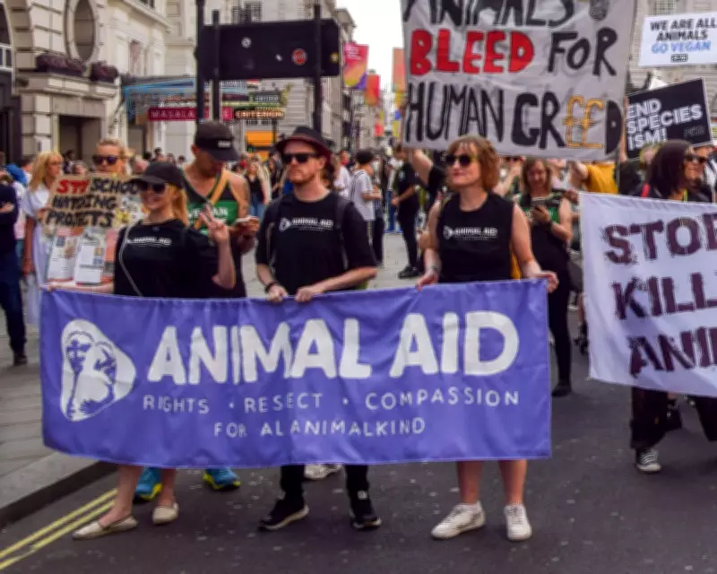Animal Aid Files Legal Challenge Over 'Chilling' Protest Law Change