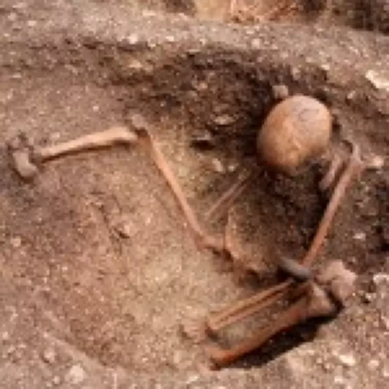 Archaeologists Uncover 13 Upright Skeletons in Ancient French Burial Ground