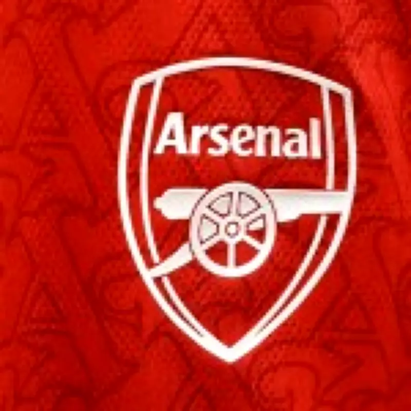 Arsenal Trigger £45m Hincapie Deal and List Four Stars for Summer Sale