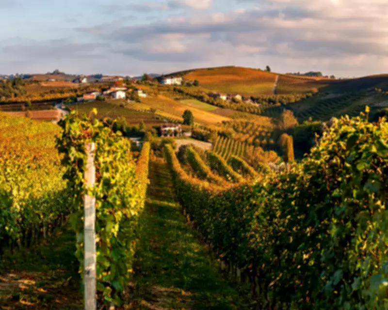 Australia-EU Trade Deal: Cheaper European Goods, Angry Farmers