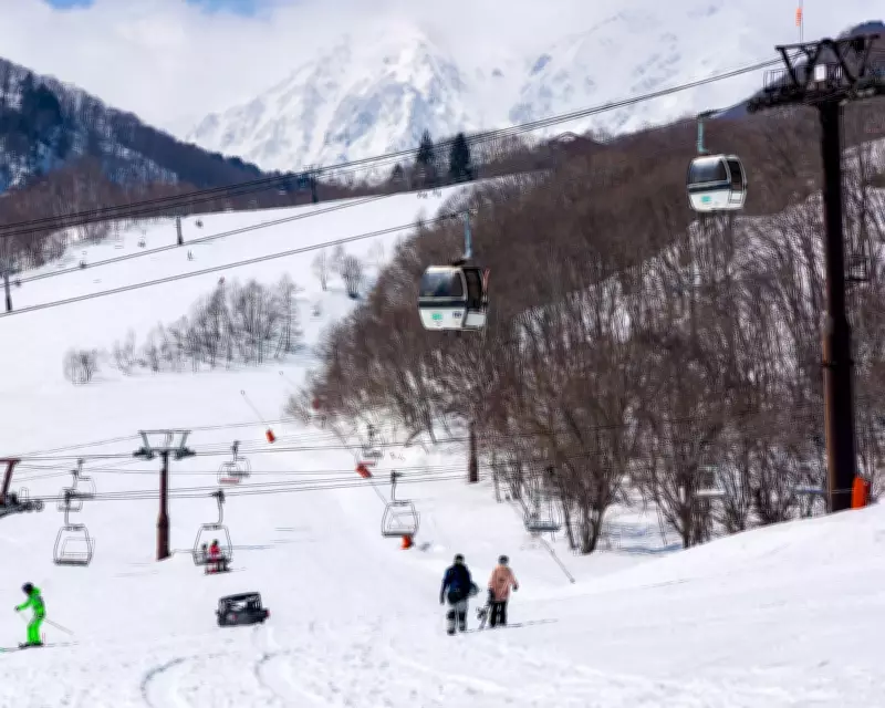 Australian Girl, 8, Dies in Snowmobile Accident on Japan Ski Holiday