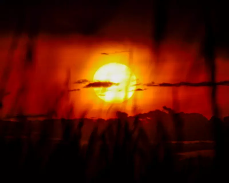 Australia's Summer Heatwave Breaks All-Time Temperature Records