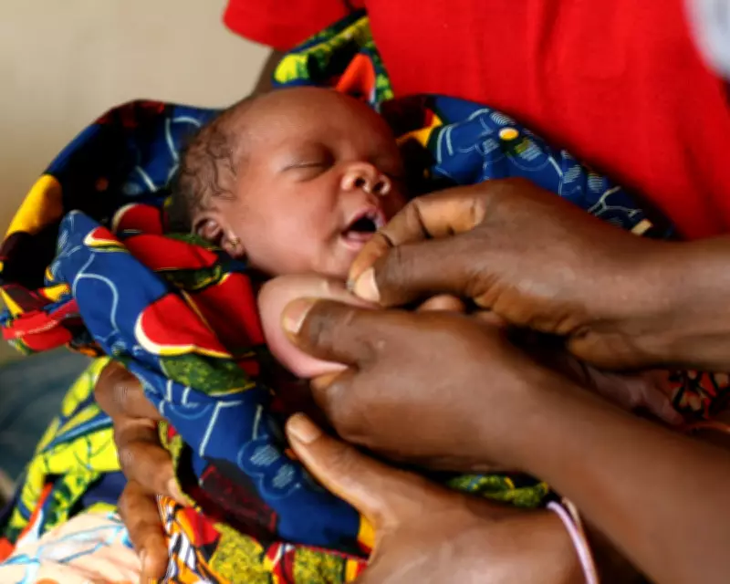 Basic Healthcare Saves Lives: Fixing Gaps Cuts Infant Mortality