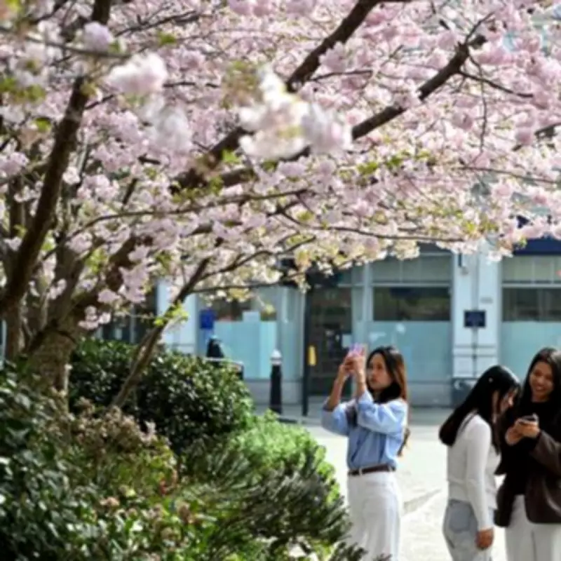 BBC Forecast: London to Enjoy Three Consecutive Sunny Days in Early April
