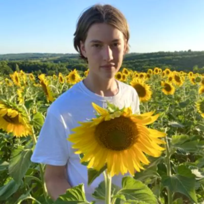 Bet365 and NHS Trust Criticized Over Student's Gambling-Related Suicide