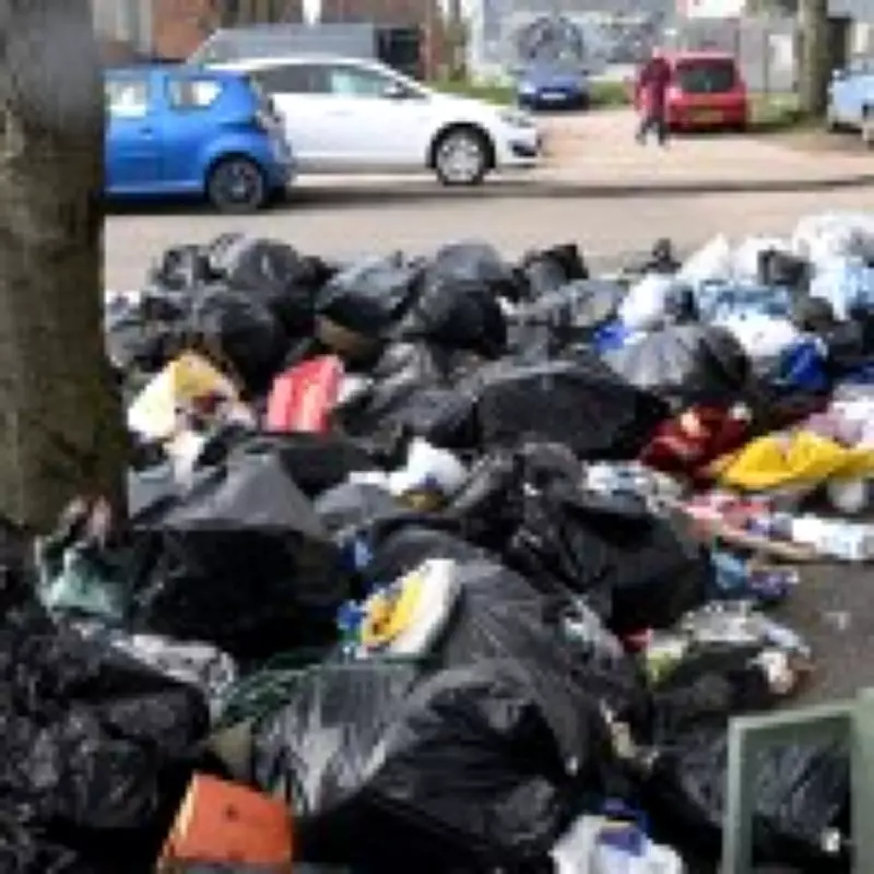 Birmingham's Year-Long Bin Strike: Rats, Rubbish, and No Resolution