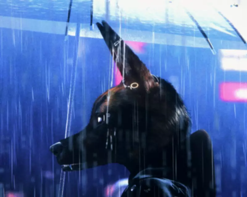 Bouchra Review: Animated Documentary Explores Queer Experience