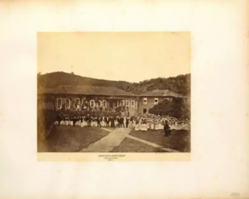 British Firms Profited from Brazilian Slavery Decades After UK Abolition