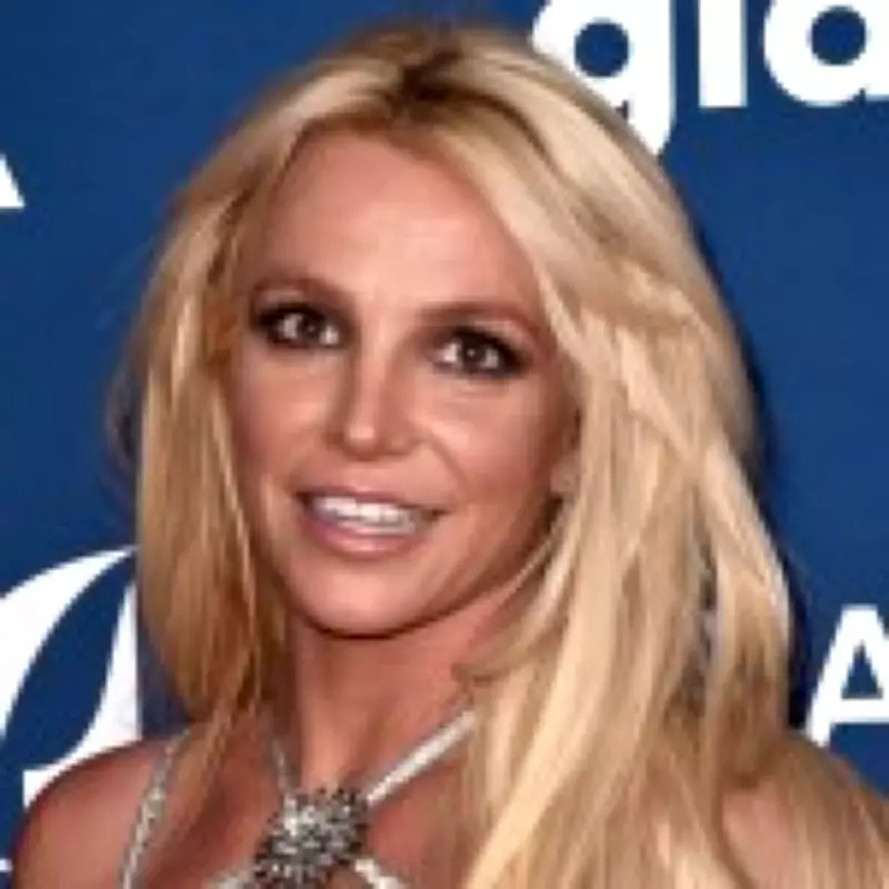 Britney Spears' Family 'Too Scared to Intervene' After DUI Arrest