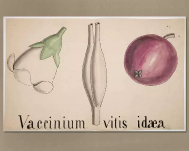 Cambridge Revives Darwin's Botany Course with Rare 200-Year-Old Archive