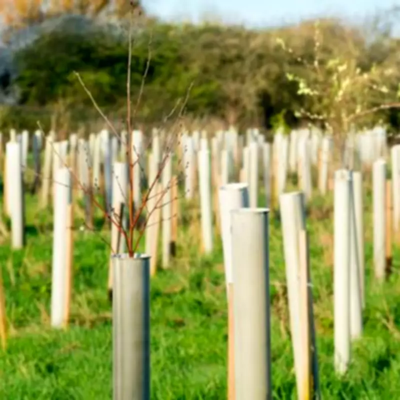 Camden Council Approves Budget with Tax Hike, Tree Planting, and Family Support