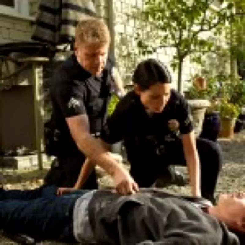 Canceled Police Drama 'Southland' Soars on Netflix Charts After Streaming Debut