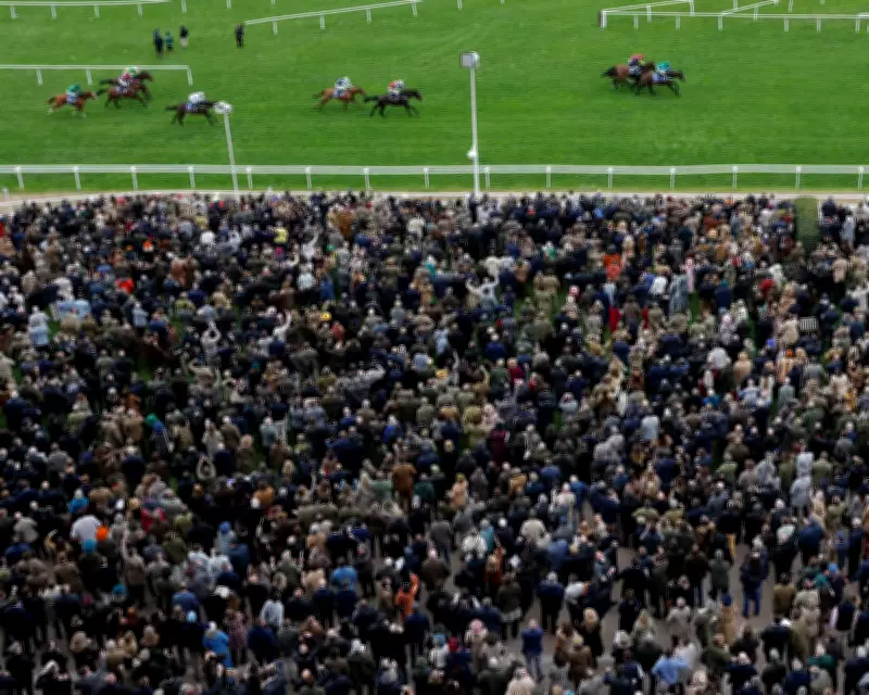 Cheltenham Festival 2026: Attendance and British Wins Rise Amid Fatalities and Fallouts