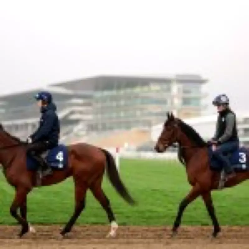 Cheltenham Festival 2026 Day 1: Full Race Card, Betting Odds & Expert Tips