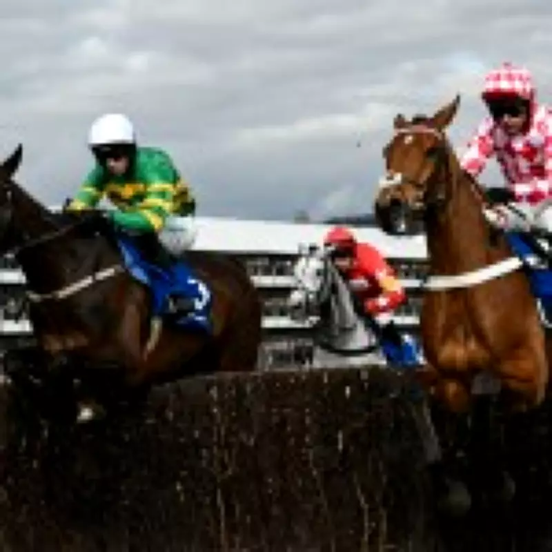 Cheltenham Festival 2026 Day 2: Betting Tips, Race Card, and Latest Odds