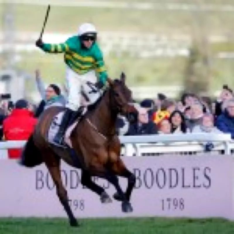 Cheltenham Festival 2026 Gold Cup: Betting Tips, Race Card, and Odds