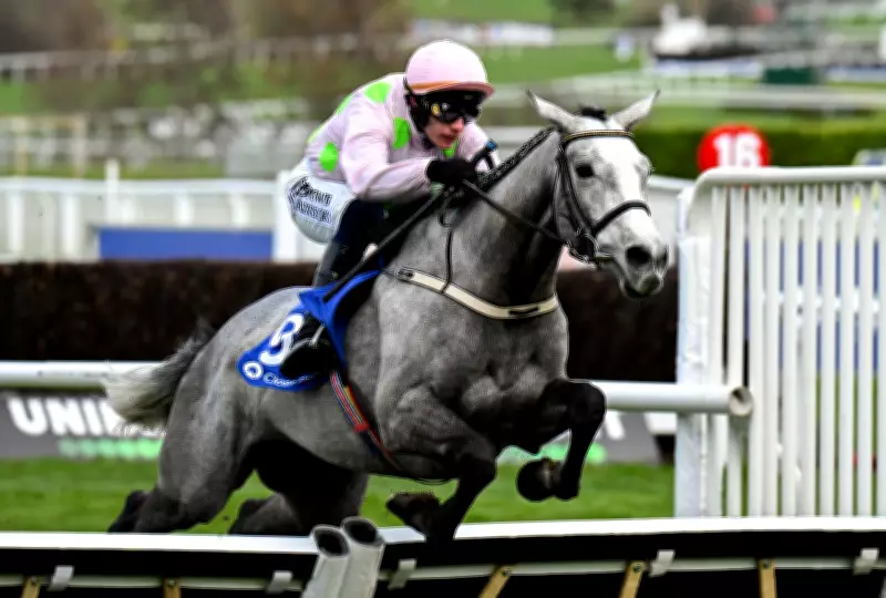 Cheltenham Festival Day One: Lossiemouth Tipped for Champion Hurdle Glory
