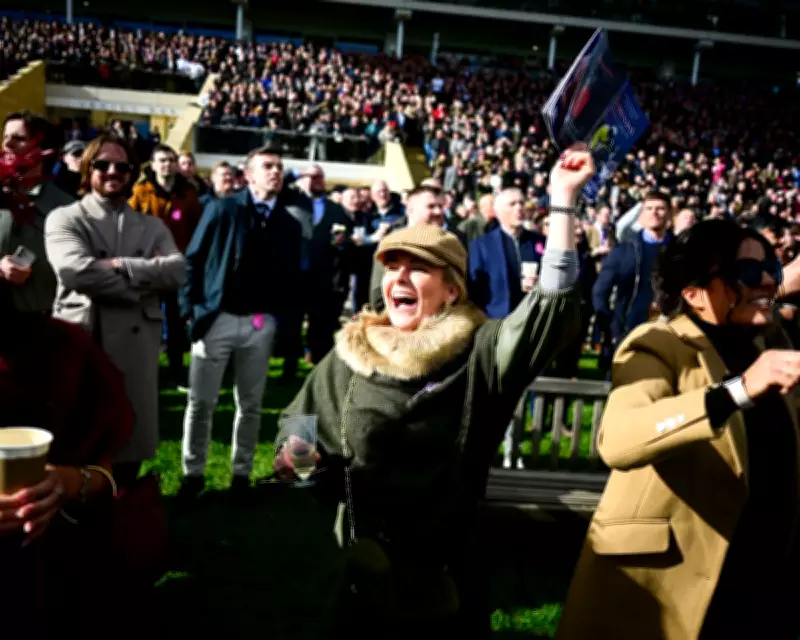 Cheltenham Festival Day Three: Shantou Poised for Stayers' Hurdle Glory