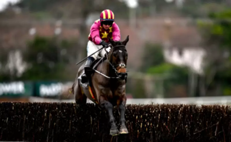 Cheltenham Festival Day Two: Expert Tips for Brown Advisory & Cross Country Chases