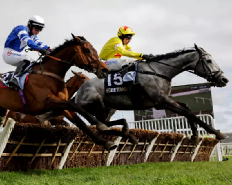 Cheltenham Festival Day Two: L'Eau Du Sud Favored Over Majborough in Champion Chase