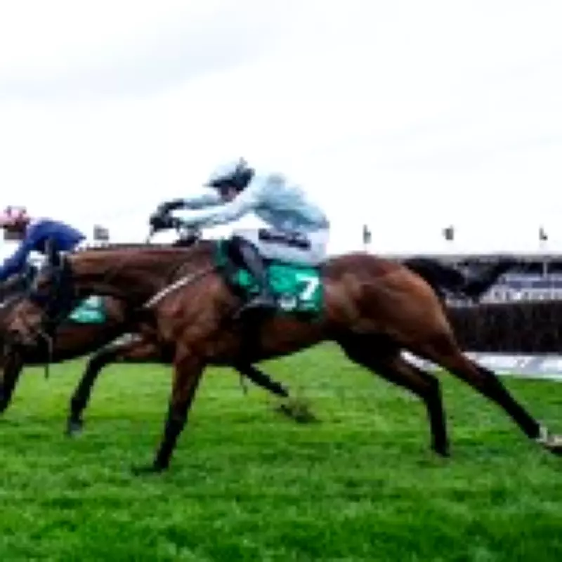 Cheltenham Festival Ladies Day 2026: Live Updates, Race Results & Betting Tips