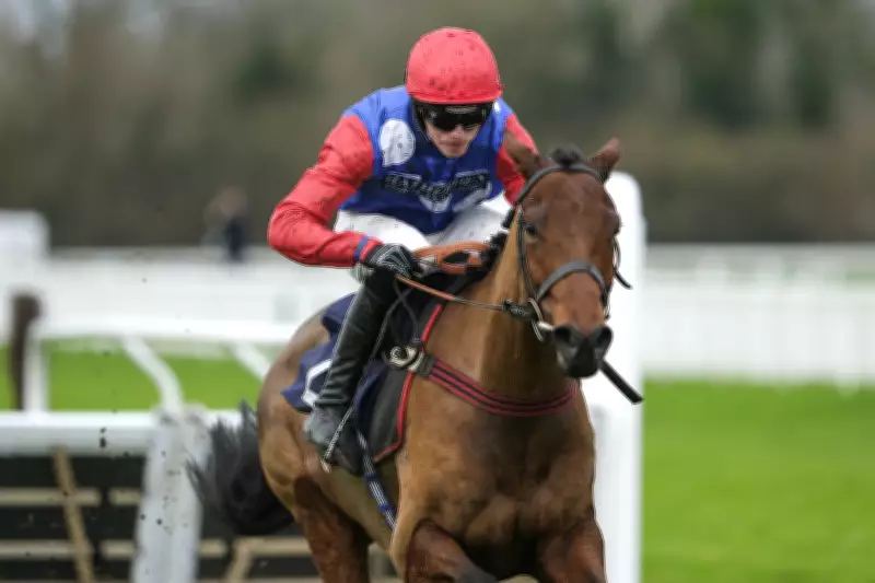 Cheltenham Festival: Ma Shantou Emerges as Stayers' Hurdle Contender