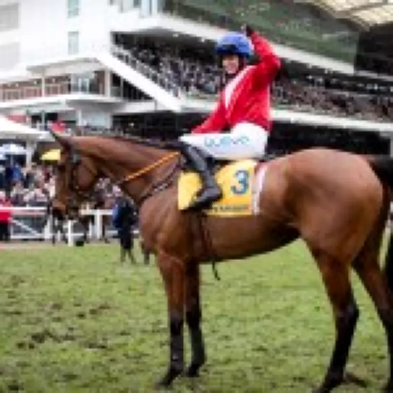 Cheltenham Gold Cup Tragedy: Envoi Allen Dies After Final Race