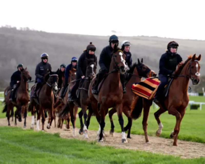 Cheltenham's Final Day: Redknapp's Dream and a Tight Prestbury Cup Race