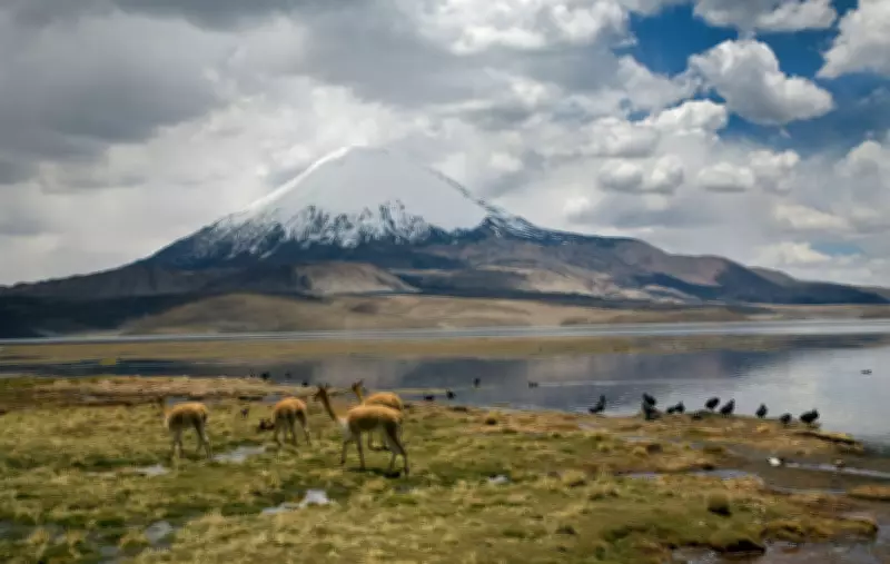 Chile's Far-Right Leader Kast Faces Indigenous and Environmental Backlash Over Water Rights