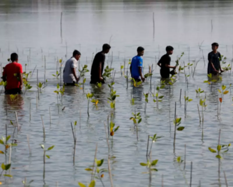 Climate Aid Reductions Pose Severe Threat to Developing Nations