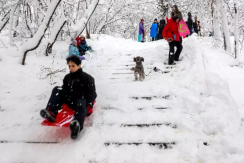 Climate Crisis Fingerprint on US March Weather Extremes, Experts Warn