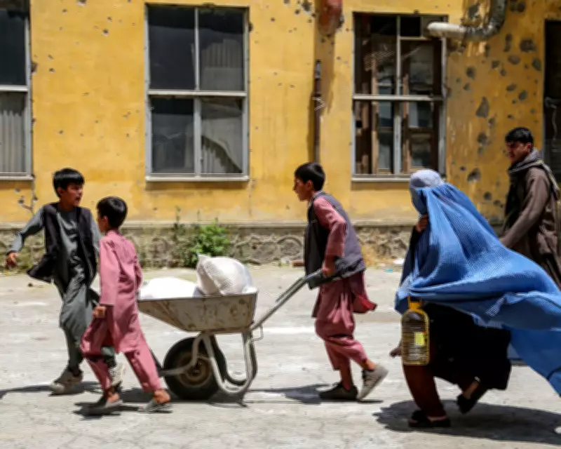 Climate Crisis Threatens to Triple Critical Food Insecurity in Vulnerable Nations