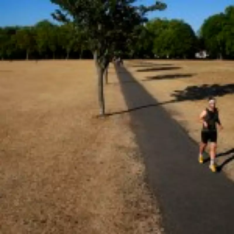 Climate Inactivity Crisis: Study Predicts Up to 700,000 Deaths by 2050