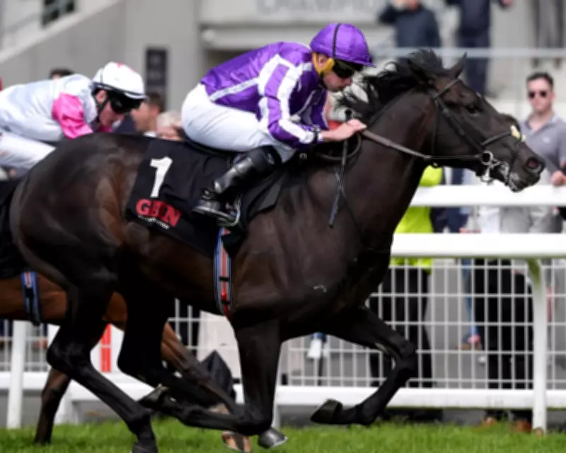 Computer Glitch Removes O'Brien Horses from 2,000 Guineas Race