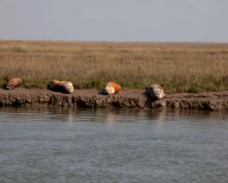 Conservation Leaders Clash Over UK Habitat Protection and Green Building