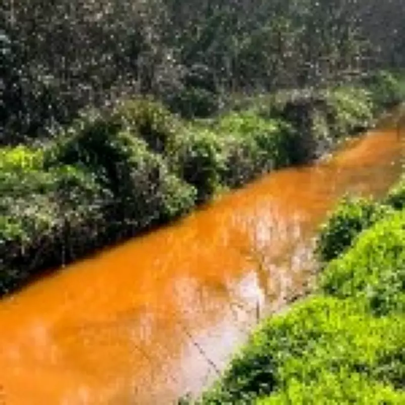 Cornwall Stream Turns Bright Orange, Environment Agency Investigates Pollution
