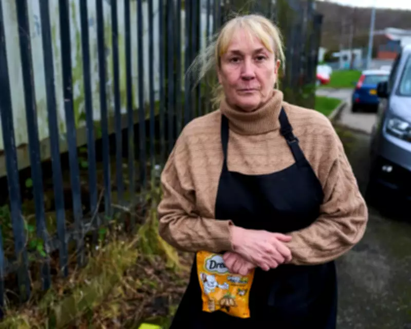 Council Ban on Cat Feeder Sparks National Animal Welfare Movement