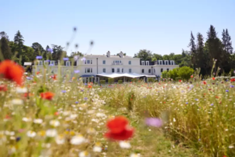 Coworth Park: A Luxurious Spring Escape Just 45 Minutes from London