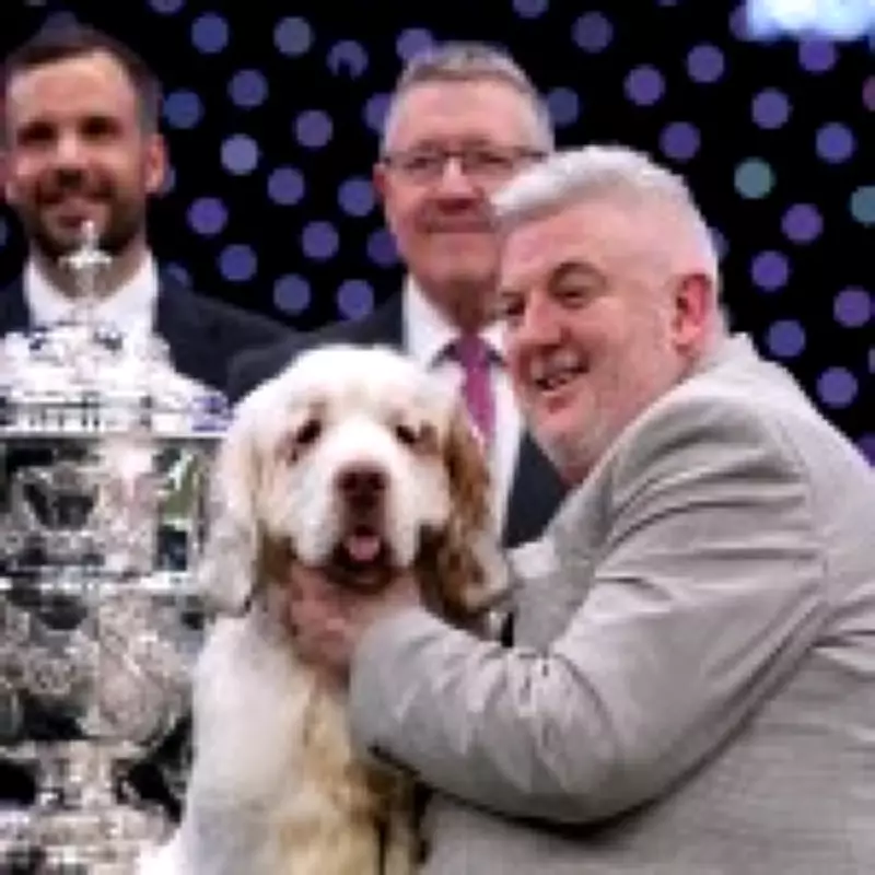 Crufts Champion Lee Cox's Past Animal Cruelty Conviction Revealed