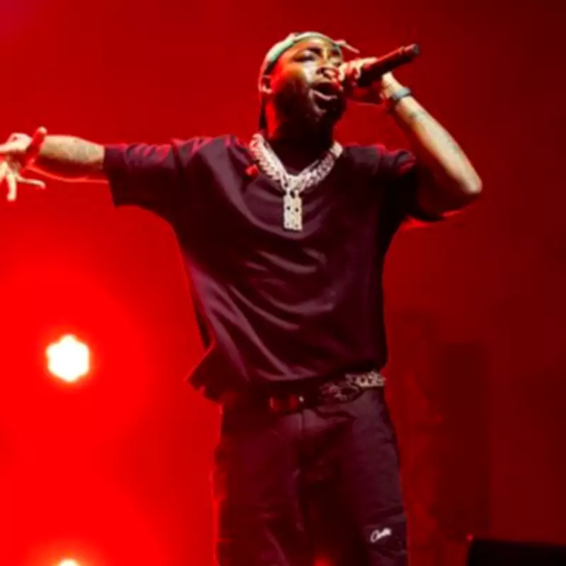 Davido Headlines First Outdoor Festival at Crystal Palace Bowl This Summer
