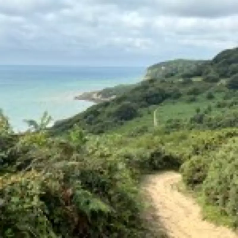 Discovering Hidden Gems: The Perfect UK Staycation in East Sussex