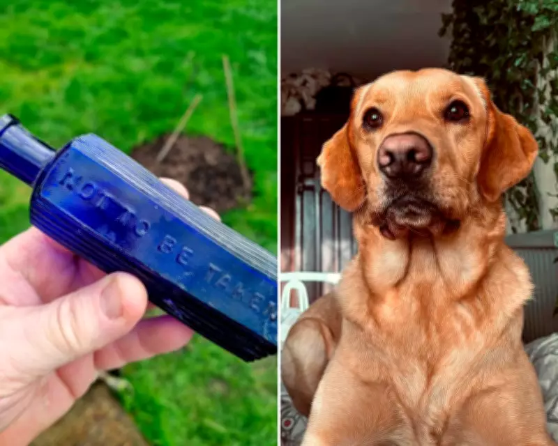 Dog's Garden Discovery May Link to Victorian Murder Case in Devon