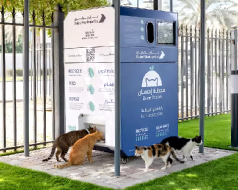Dubai Deploys AI Feeding Stations Amid Pet Abandonment Crisis